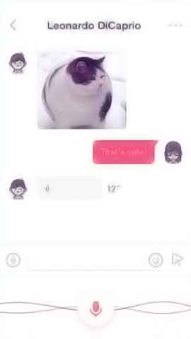 网站ddos隐藏源ip软件程序维护界面